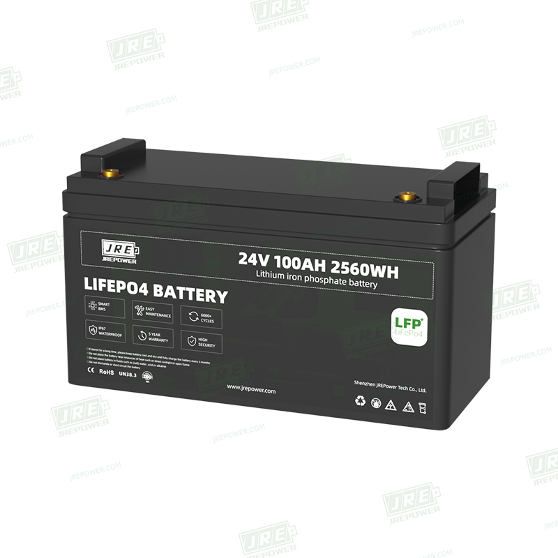 24V 100Ah_JSZPLF1985C_ (2)