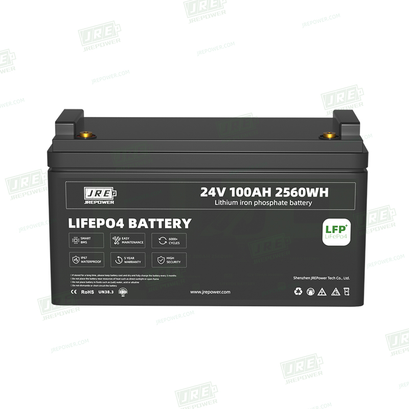 24V 100Ah_JSZPLF1985C_ (3)